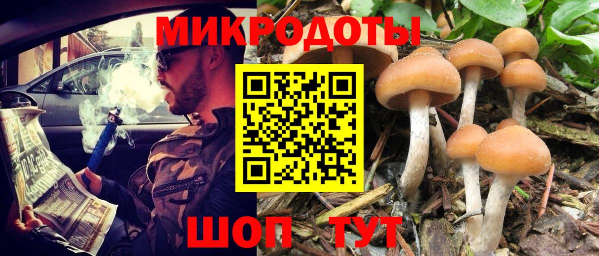 Нефтекамск  Галлюциногенные грибы Cubensis  что такое   Вход с VPN 