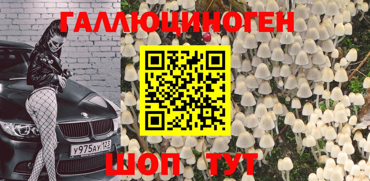 Галлюциногенные грибы GOLDEN TEACHER Нефтекамск